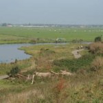 Buytenpark vanaf de heuvel gezien (Remko Bordewijk)