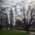 Het Wilhelminapark (Ernst van Erkelens)