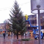 Optuigen kerstboom op het Promenadeplein (Jan van Empel)