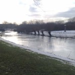 Winterbeeld in het Balijbos (Sandra van der Meer)