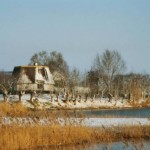 Het afgezaagde molentje