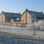 Witte bomen en struiken (1)