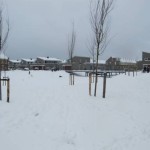 Sneeuw op Sint Maarten (2)