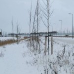 Sneeuw op Lofoten (2)