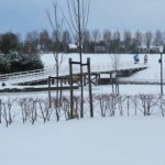Bruggetje in de sneeuw