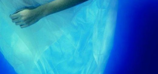 Camilla Läckberg - Steenhouwer