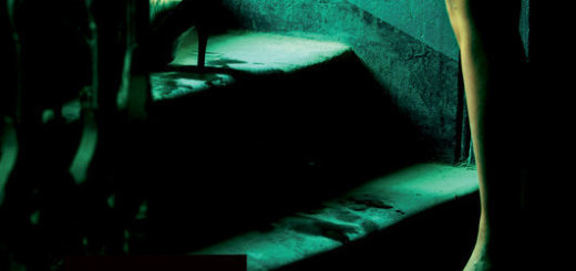 Helen FitzGerald - De duivelskamer