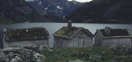 Inger Frimansson - De kat die niet stierf