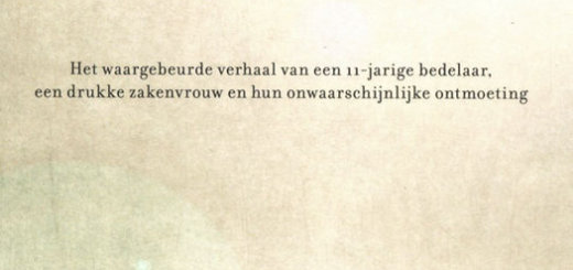 Laura Schroff - Onzichtbaar Verbonden