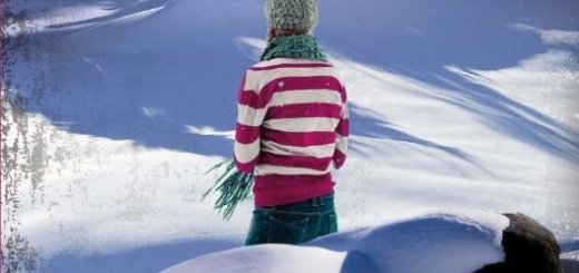 Suzanne Vermeer - Winterberg