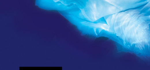 Camilla Läckberg - Predikant