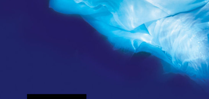 Camilla Läckberg - Predikant