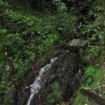 Mooie wandelroute vanaf Coreglia Antelminelli (1)