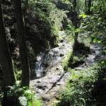 Bos rondom Le Ninglinspo