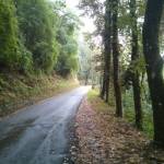 Mooie wandelroute vanaf Coreglia Antelminelli (2)