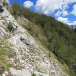 Marmerberg Monte Altissimo (1)