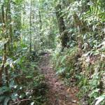 Wandeling op Mount Kinabalu (1)