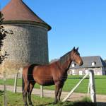 Château de Saint Gervais (8)