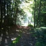 Château de Saint Gervais (9)