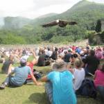 Donjon des Aigles (2)