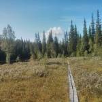 Daimadalens Naturreservat