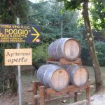 Fattoria Il Poggio