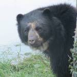 Le Parc Zoologique Cerza (1)