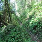 Van Coreglia Antelminelli naar Tiglio Basso