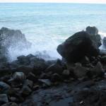 Het Slangeneiland (2)