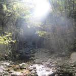 Canyon in Orrido di Botri (1)