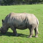 Le Parc Zoologique Cerza (8)