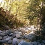 Canyon in Orrido di Botri (3)