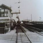 Het Station met een Trein (Je bent Zoetermeerder als)