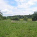 De oude zandafgraving bij Lunteren (1)