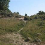 Uitzicht over een duintop