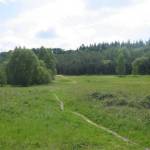 De oude zandafgraving bij Lunteren (2)