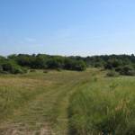 Uitzicht op een kleine bossage