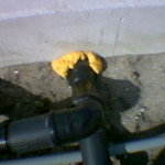 We hebben leidingwerk (3)