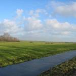 Uitzicht over weidegrond
