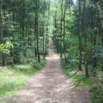 Het Middelpunt van Nederland (1)