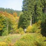 Hele mooie herstkleuren (2)