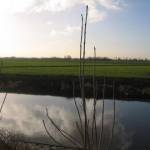 De dijk en het water