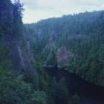 Algonquin Provicial Park (2)