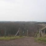 Uitzicht op de duinen