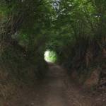 Een typisch weggetje