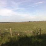 De Doldersummerheide