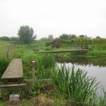 Leuke, smalle, bruggetjes