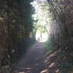 Holle wegen in het Geul en Gerendal