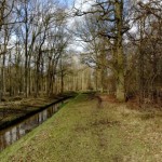 Natuurgebied De Brand (1)