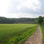 Combinatie van akkerland, bos en heide